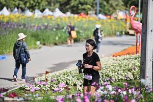 BIB: 
                            <button type="button" onclick="openModal(27793751)" class="btn btn-primary btn-sm float-right btn-popup" data-toggle="modal" data-target=".modal-high-quality">
                        <i class="fas fa-shopping-cart"></i> Add to Cart
                    </button>
                                            <button type="button" onclick="isThisMe(27793751, true)" class="btn btn-success btn-sm float-right btn-popup btn-isme hidden" data-toggle="tooltip" data-placement="bottom" title="นี่คือรูปของคุณใช่ไหม คลิกที่นี่เพื่อเอาเข้าอัลบั้ม">
                        <i class="fas fa-plus"></i> Add to album
                    </button>
                    <button type="button" onclick="isThisMe(27793751, false)" class="btn btn-warning btn-sm float-right btn-popup btn-isnotme hidden">
                        <i class="fas fa-ban"></i> Remove from album
                    </button>